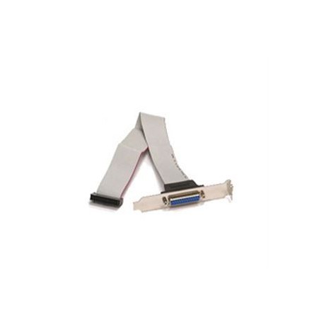 CBL-0081L Technical Cable – Identified Connection for Professional Systems